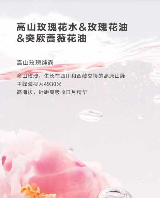 【8折】 3楼爱慕 纽格芙 凝水透亮面膜5片装NG10605   商品图2