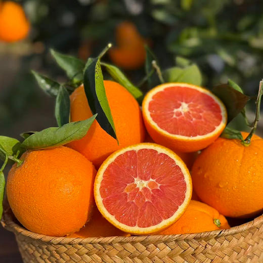 【全国包邮，部分地区除外】新鲜水果 果肉红润 中华红血橙大果70mm-75mm 5斤装 商品图1