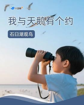大蓝鲸爱研学|【独立/亲子1日营】我和天鹅有个约，探秘石臼湖自然保护区，户外观鸟课堂，候鸟知多少，参观昆虫邮票博物馆，蝴蝶标本制作
