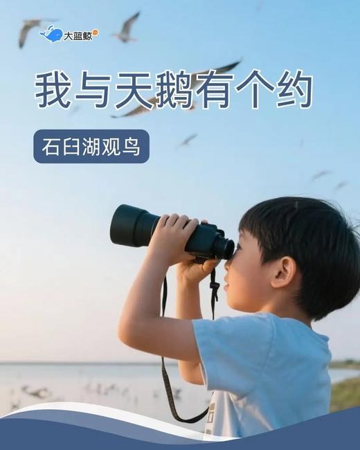 大蓝鲸爱研学|【独立/亲子1日营】我和天鹅有个约，探秘石臼湖自然保护区，户外观鸟课堂，候鸟知多少，参观昆虫邮票博物馆，蝴蝶标本制作 商品图0