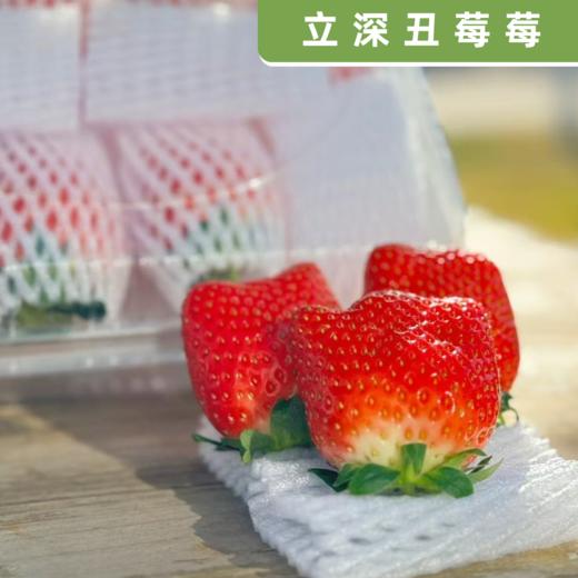 丑莓莓 商品图1