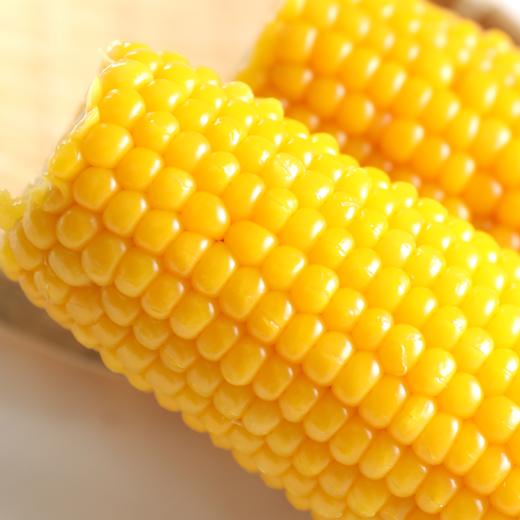 广西黄金甜玉米【29元购】丨 甜嫩多汁 口感鲜香 早餐代餐 商品图1
