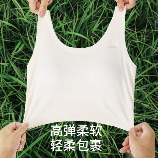【舒服法则】120支新款少女背心二三阶段【8556】 商品图5