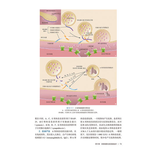 实用皮肤美容治疗学 王刚 高琳编 强脉冲光治疗科学光子痤疮病因与实用治疗激光玫瑰痤疮图谱皮肤病人民卫生出版社9787117370509 商品图4