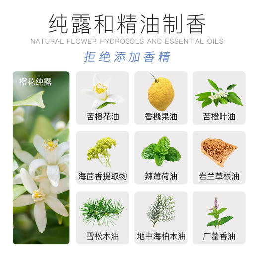 【积分兑换】洄·海盐深藻沐浴露 500ml 自营 商品图2