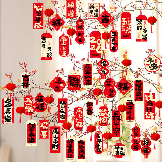 【秒杀❗️9.9抢40件🔥马年喜庆挂件】带福回家，添福添喜，好运连连！新年2026新款春节装饰品盆景挂件家用店铺墙壁福字小灯笼挂饰 商品图1
