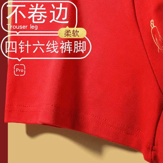 新热卖！2026红马年【天材四宝红内裤】人参 虫草 海马 鹿茸 精美礼盒 独立包装！ 商品图6