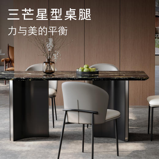 顾家家居整装 意式轻奢 餐桌餐椅PT2160T/Y 商品图4