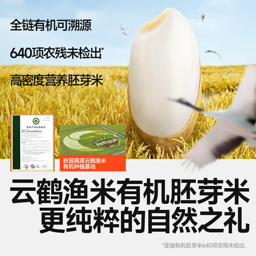 秋田满满有机婴幼儿胚芽米饼（羽衣甘蓝菠菜)32.8g 商品图1