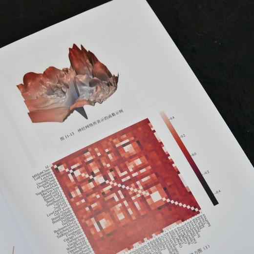 机器学习算法原理与代码实现 机器学习教程书籍动手学机器学习人工智能算法深度学习神经网络 商品图4