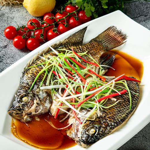 【一条主骨 不卡喉】【配料表干净 活杀速冻锁鲜 低脂高蛋白】鱼宗师 广东阳江·海水鲷鱼 天然咸淡水交汇 无腥 商品图7