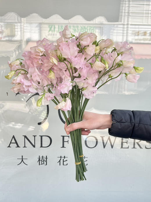 国产花材-【豌豆花】樱花浅粉 商品图0