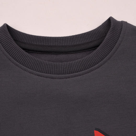 棉果果× LEGO男童春秋卫衣内搭纯棉小线圈圆领套头卫衣L112180226177 商品图3