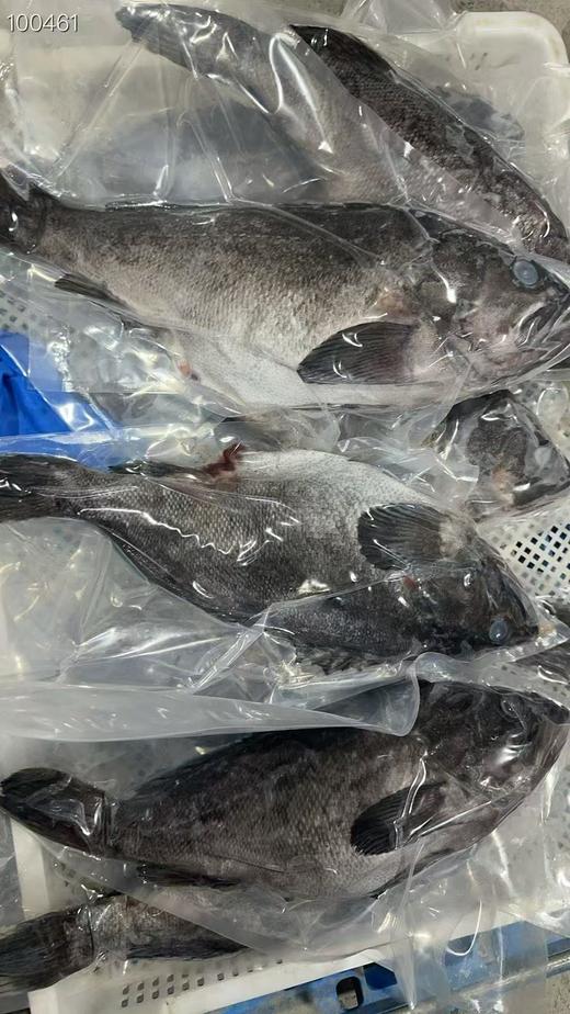 大连野生海捕船冻黑鱼，新鲜度特好。做水煮鱼，炖，红烧，煲汤，可鲜了，营养价值特别丰富。3-4斤/条。东三省包邮。 商品图1
