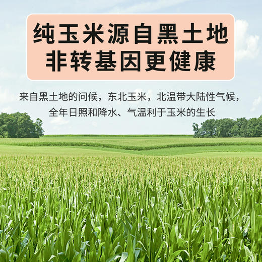 【阳光玉米面条】非转基因 低脂低钠 营养全面 买10袋赠10袋 商品图6