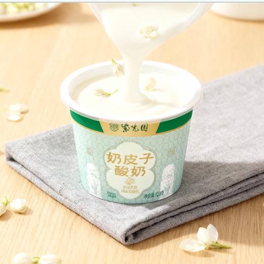 【北京紫光园奶皮子酸奶】风味发酵乳，乳酪一样的酸奶，牛奶乳制品即食礼盒 商品图2