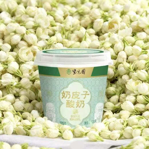 【北京紫光园奶皮子酸奶】风味发酵乳，乳酪一样的酸奶，牛奶乳制品即食礼盒 商品图4