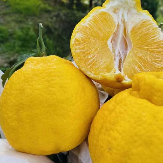 柠檬柑（一箱10斤装） 商品图1