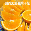 【赣南脐橙】果肉饱满营养丰富  细嫩化渣口口爆汁  好产地好水果  到手十斤 商品缩略图4