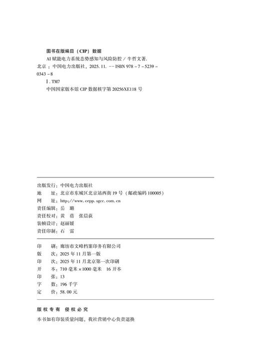 AI赋能电力系统态势感知与风险防控 商品图3