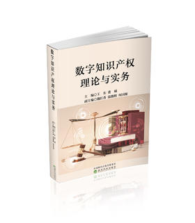 数字知识产权理论与实务