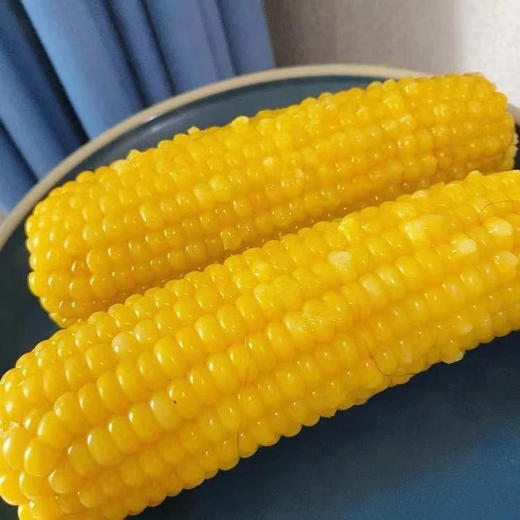 2025年新 有机糯玉米 香甜又营养 商品图0