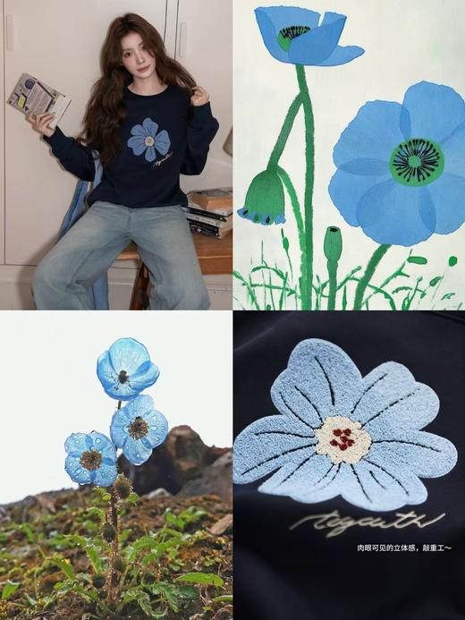 复古绿绒蒿毛巾绣加绒卫衣 商品图1