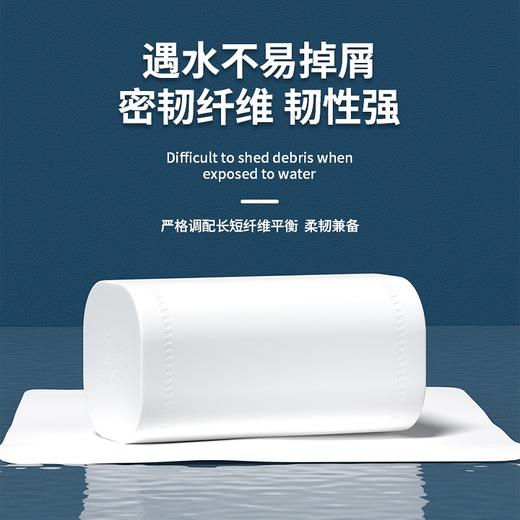 金博士卷纸12卷700克柔润舒适家用实惠装 商品图1