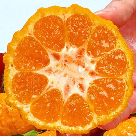 南瓜柑酸甜无渣形如南瓜口感层次丰富汁水丰盈 果型漂亮肉质鲜嫩可口一吃就上瘾 商品图5