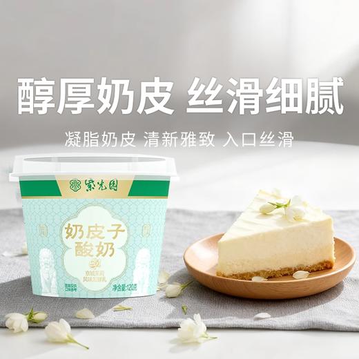 【北京紫光园奶皮子酸奶】风味发酵乳，乳酪一样的酸奶，牛奶乳制品即食礼盒 商品图0