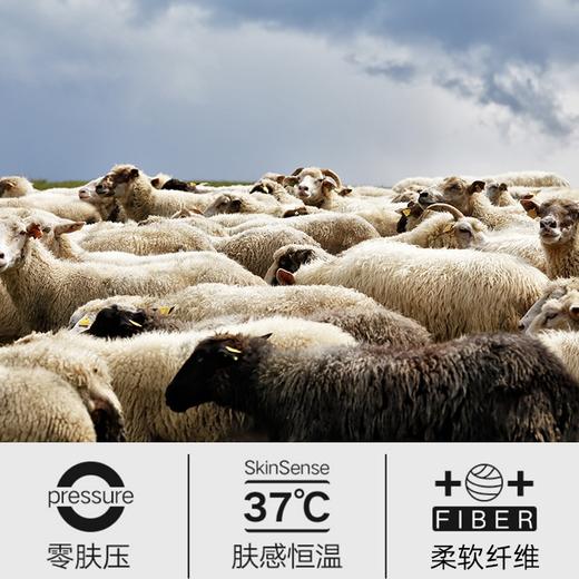 昆潮 羊毛休闲保暖帽子（多色） 商品图1