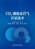 CO2强化页岩气开采技术 商品缩略图1