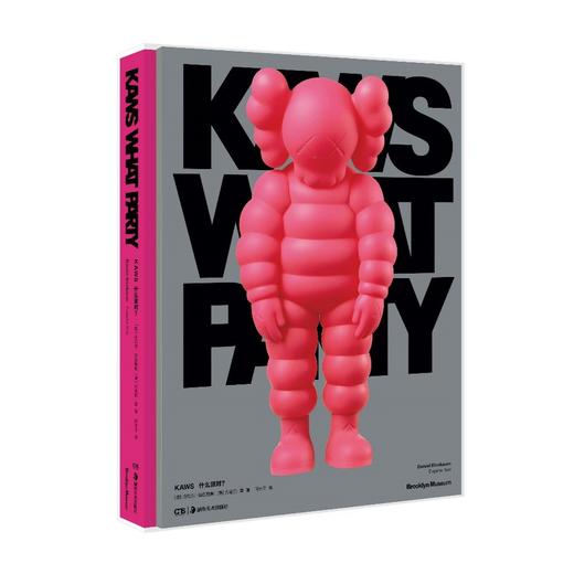 KAWS中文版 商品图1