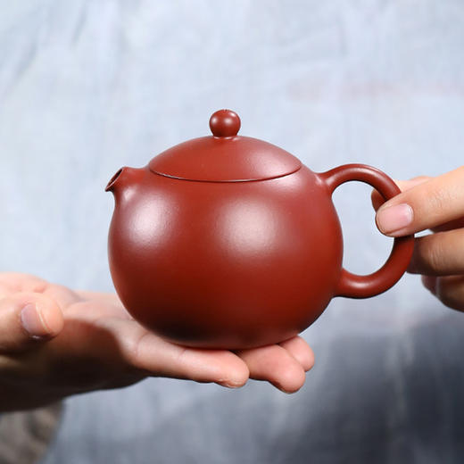 宜兴紫砂壶丨龙蛋 原矿紫泥/朱泥大红袍 泡茶壶 220CC 配礼盒证书 可泡各种茶类 商品图0