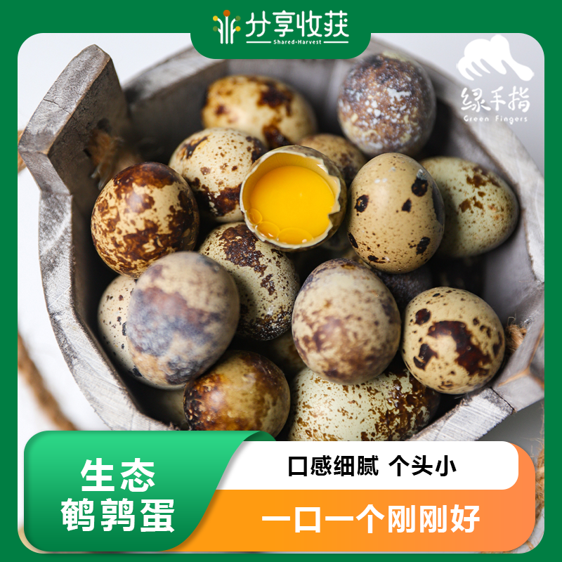 生态鹌鹑蛋| 合作生产 基地直发* Eco- quail egg |