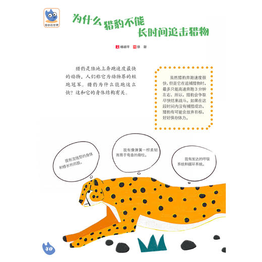 《幼儿画刊》12期（共12本）征订 商品图13