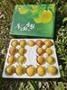 【顺丰快递】新疆库尔勒香梨 甘露香梨 现摘现发 皮薄肉细无渣 整箱发货 商品缩略图1