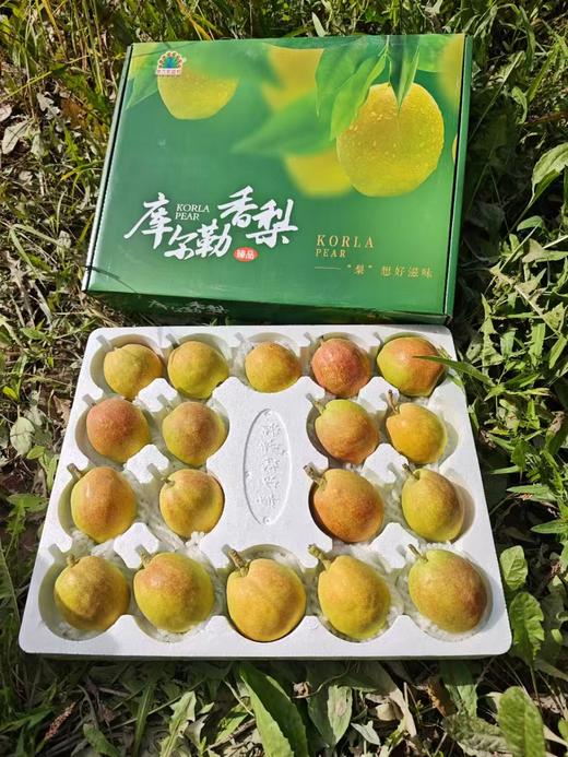 【顺丰快递】新疆库尔勒香梨 甘露香梨 现摘现发 皮薄肉细无渣 整箱发货 商品图1