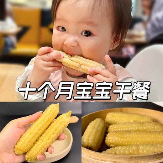 【拇指玉米】皮薄肉嫩软糯香甜  西双版纳特产品种  1斤普通装 2/4斤礼盒装 商品图5