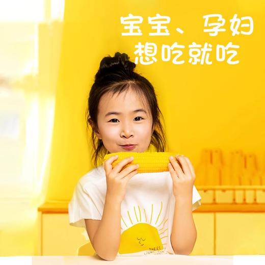 【鹿大叔有机糯玉米】颗颗饱满 软糯拉丝 有机健康玉米 老人孩子都爱吃 商品图2