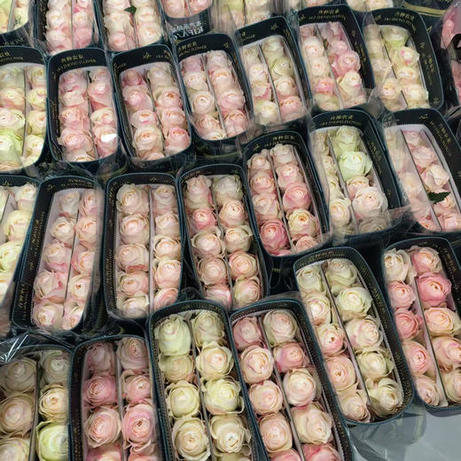 玫瑰.凯瑟琳 商品图1