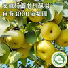 【古树梨膏】甄选砀山酥梨，遵循古法熬制，真材实料，养护咽喉，让你“膏”效养生。 商品缩略图1