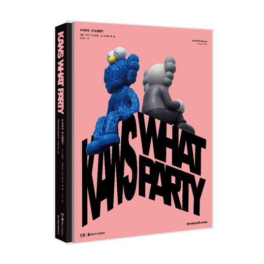 KAWS中文版 商品图0