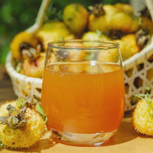 【双有机野生刺梨汁】来自贵州的“长寿果” 肠胃小帮手，天然鲜萃，野生双有机，开袋即食补充营养更方便 商品图4