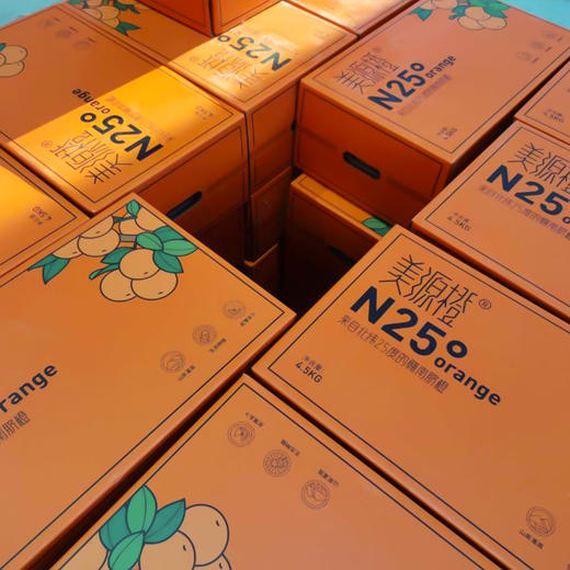 【赣南脐橙】果肉饱满营养丰富  细嫩化渣口口爆汁  好产地好水果  到手十斤 商品图7