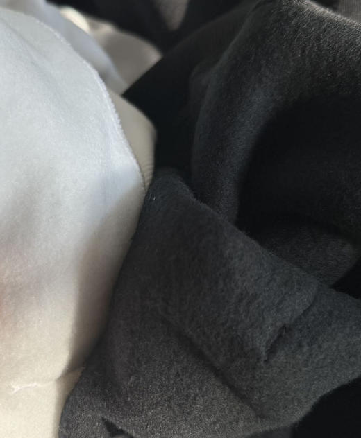 【秒杀价已调 直接拍】出口日本 北脸儿童加绒连帽卫衣 码不偏 商品图2