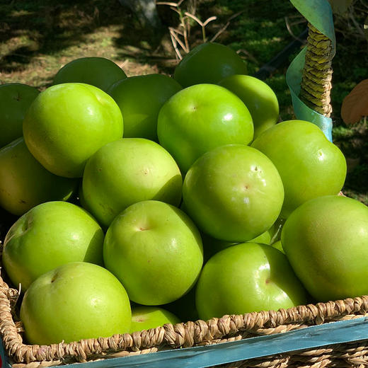 生态种植【云南高原蜜罐苹果】苹果、梨、枣混合口感 商品图5