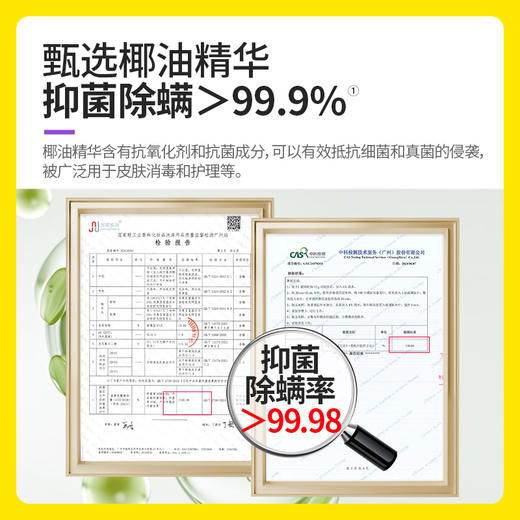 【植萃抑菌】涤尚 抑菌内衣洗衣液 500g/瓶 双重核心清洁成分 商品图2