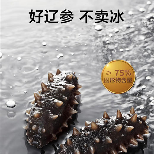 【一价到底】【辽刺参王】大连原产地  百里挑一辽参王  吃一根顶三根 商品图6