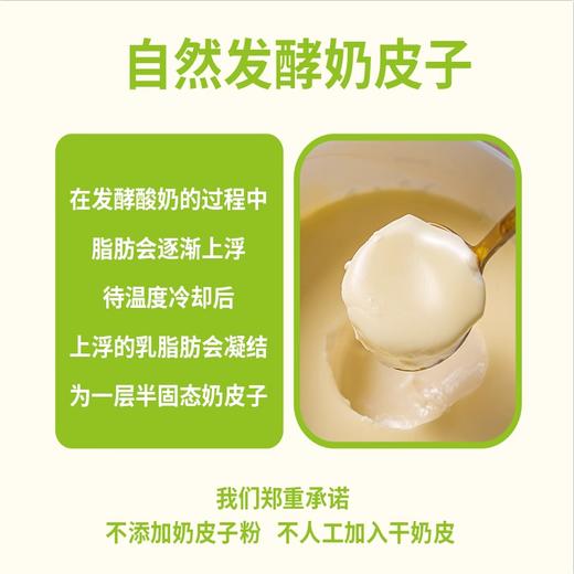 【北京紫光园奶皮子酸奶】风味发酵乳，乳酪一样的酸奶，牛奶乳制品即食礼盒 商品图8